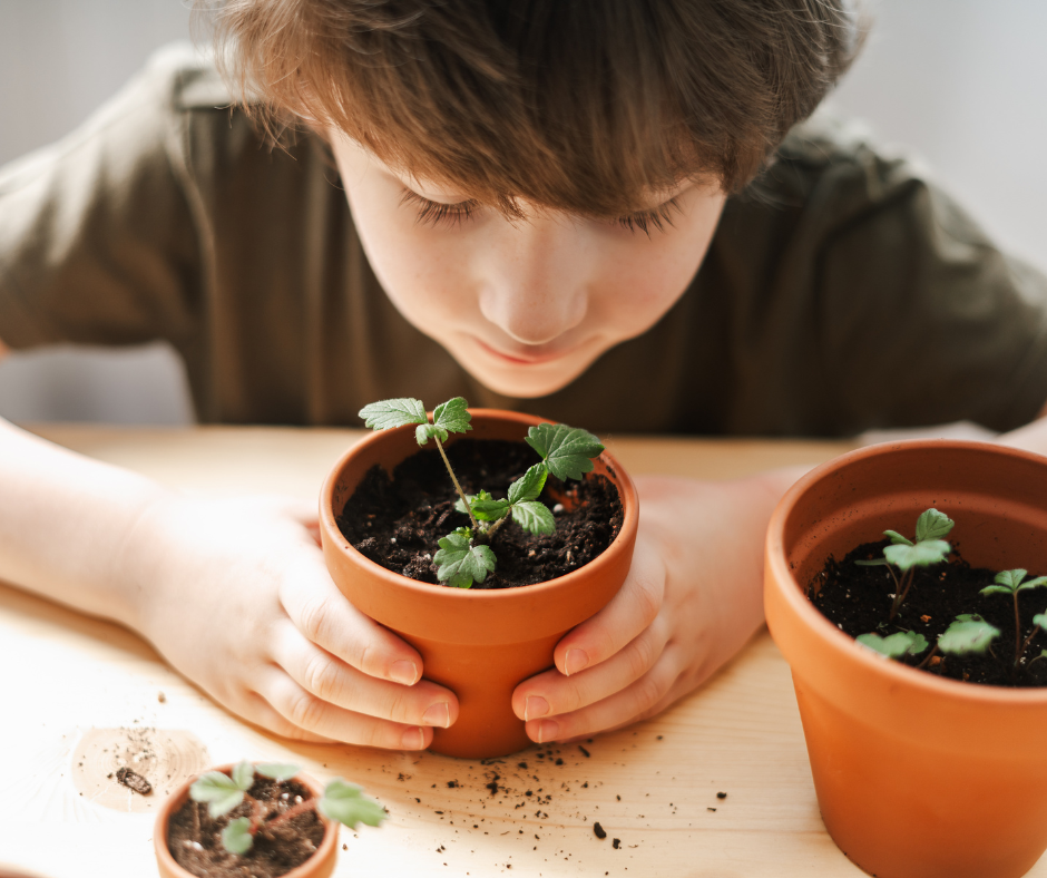 What’s a ‘Pot Trust’? Law Office of Michelle Adams